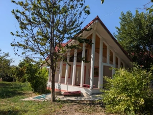 Super Pret - Casa individuala 5 camere la asfalt 196 mp si 1200 mp teren livada - imagine 3