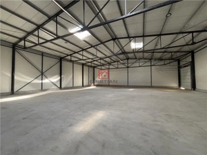 Inchiriere depozit hala spatiu industrial Theodor Pallady - Gara Catelul - imagine 4