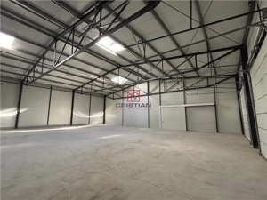 Inchiriere depozit hala spatiu industrial Theodor Pallady - Gara Catelul - imagine 8