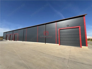 Inchiriere depozit hala spatiu industrial Theodor Pallady - Gara Catelul - imagine 12