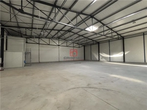 Inchiriere depozit hala spatiu industrial Theodor Pallady - Gara Catelul - imagine 5