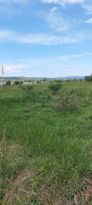 Închiriez 10.000 mp Halînga - imagine 2