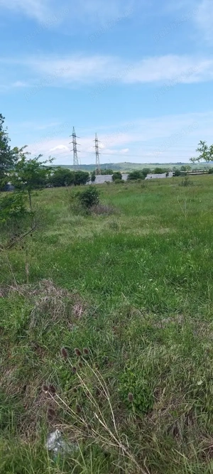 Închiriez 10.000 mp Halînga - imagine 3