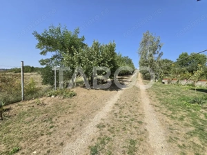 Casa singur in curte cu teren liber 2667 mp 6 camere 4 bai Daia  - imagine 11