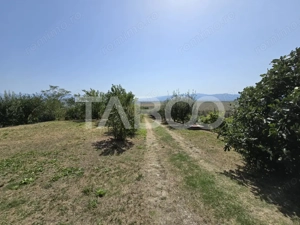 Casa singur in curte cu teren liber 2667 mp 6 camere 4 bai Daia  - imagine 3