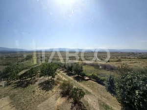 Casa singur in curte cu teren liber 2667 mp 6 camere 4 bai Daia  - imagine 5