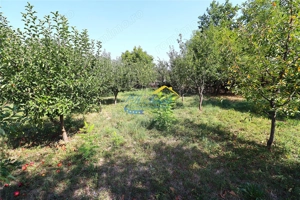 Casa de vanzare, Bordenii Mari Prahova - imagine 8