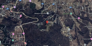 Pietrarie Vila P+1 s=164mp garaj beci teren 2000mp livada vie zona verde - imagine 12