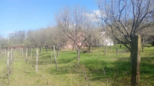 Pietrarie Vila P+1 s=164mp garaj beci teren 2000mp livada vie zona verde - imagine 14