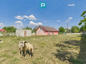 Spațiu comercial pe DN79 în Zimandu Nou - imagine 7