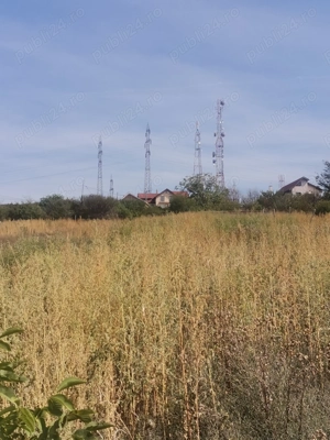 Teren intravilan 3750mp deschidere 36,87 Dolj Craiova  - imagine 3