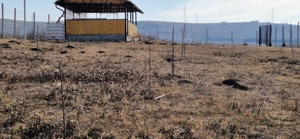 Vand teren extravilan  - imagine 3