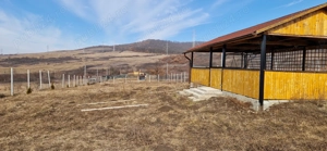 Vand teren extravilan  - imagine 9