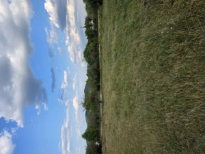 Vanzare teren Campina