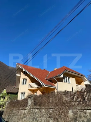 Vila 7 camere, 750mp-teren, BAILE HERCULANE - imagine 4