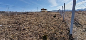 Vand teren extravilan  - imagine 6