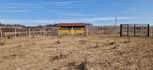 Vand teren extravilan  - imagine 8