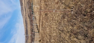 Vand teren extravilan  - imagine 10