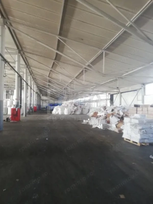 HALA FILIPESTII DE PADURE - complet echipată, pregătită pt producție sau depozit - imagine 7