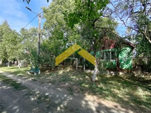 Casa de vanzare in Bodrogu Vechi - imagine 9