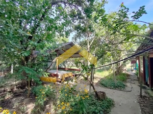 Casa de vanzare in Bodrogu Vechi - imagine 10