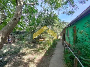 Casa de vanzare in Bodrogu Vechi - imagine 7