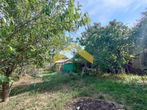 Casa de vanzare in Bodrogu Vechi - imagine 3