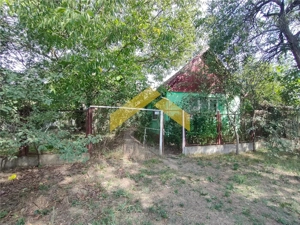 Casa de vanzare in Bodrogu Vechi - imagine 8