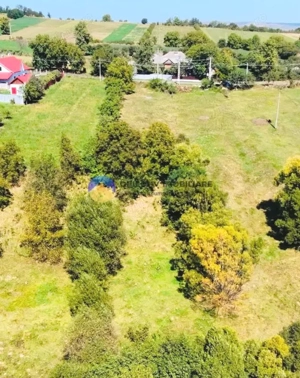 TEREN intravilan  2510 mp BORLEȘTI - ȘOVOAIA - imagine 7