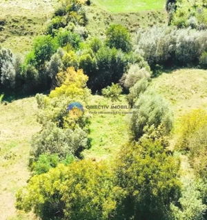 TEREN intravilan  2510 mp BORLEȘTI - ȘOVOAIA - imagine 8