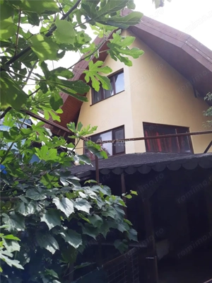 5 cam - zona 3 insule