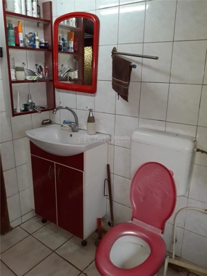 5 cam - zona 3 insule - imagine 6