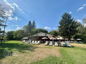 Afacere la cheie, Strand Neptun Arad