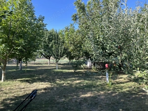 Casa de vanzare in loc.Calarasii-Vechi,jud Calarasi. - imagine 10