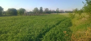 Vand Teren Merii Petchii - imagine 3