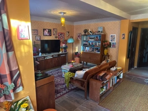 Vila Ialomita -Livedea lac - imagine 2