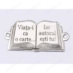 Meditații lb. română EN, Șc. de Subofițeri, Acad. de Poliție