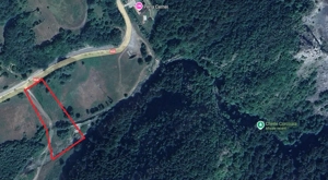 Teren Cerna Sat -Cheile Corcoaia ieșire la râul Cerna și DN 66A(aproape de traseul Viatransilvanica) - imagine 7