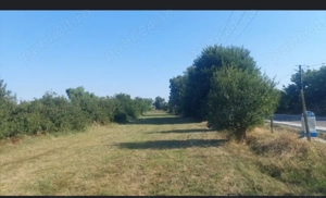 Teren intravilan 2500 mp - Baba Ana, Prahova