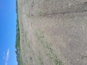 Teren extravilan Sărmaș 