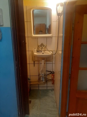 Proprietar in Calea Buziasului - imagine 9