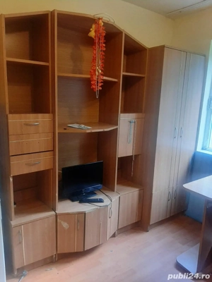 Proprietar in Calea Buziasului - imagine 10