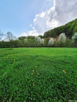 Teren de vânzare 4,902 mp Mara,Desesti,Maramureș