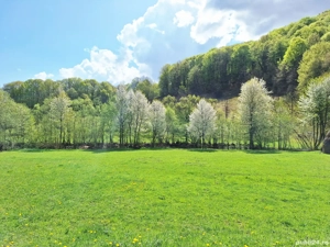 Teren de vânzare 4,902 mp Mara,Desesti,Maramureș - imagine 2