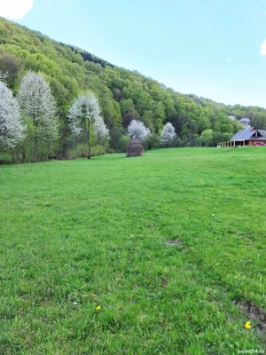 Teren de vânzare 4,902 mp Mara,Desesti,Maramureș - imagine 3