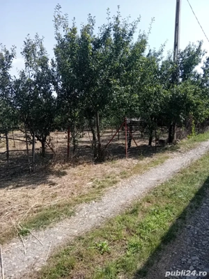 Vând teren 350 mp, Zona Obor - imagine 2