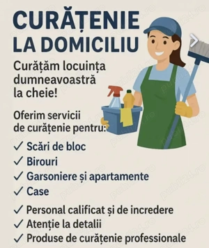 Curățenie generală și de întreținere 