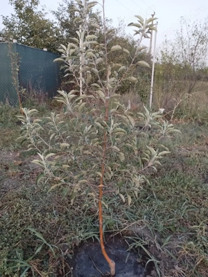 oportunitate achizitionare teren - imagine 10