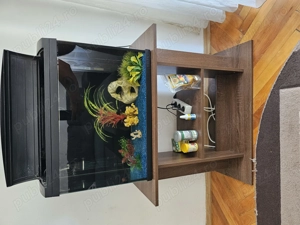 Acvariu pești  - imagine 2 Acvariu pești  - imagine 2