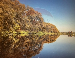 Teren cu deschidere la lac 1,430mp - imagine 3